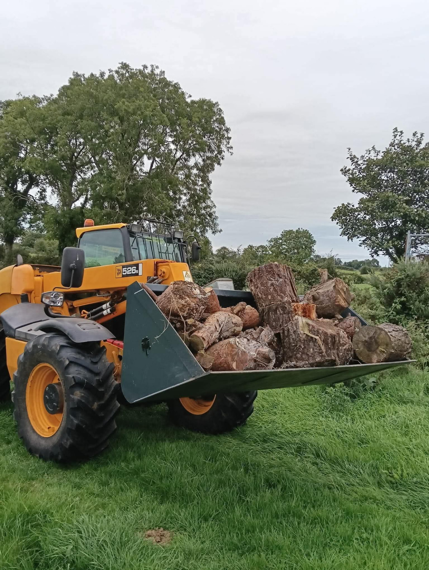 MT Plant handler bucket loaded with cut timber on a JCB 526 telehandler